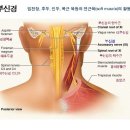 연세새롬의원 이미지