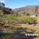 자작농장 이미지