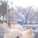 봉성로 네이버블로그