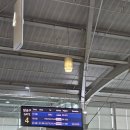 Yang9 | 7박9일 발리 신혼여행 후기(투어빈 여행사 단독패키지)