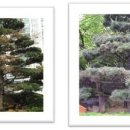 (주)그린환경 이미지