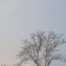 예쁜눈아