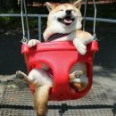 개편한세상 이미지