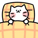 해성칼국수 이미지