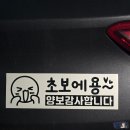 인소이