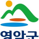 늘새로움 이미지