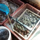 정남진 전망대횟집 이미지