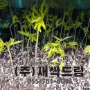 (주)농업회사법인 귀농 이미지