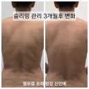 셀포랩포레