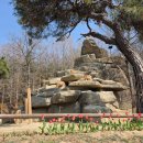 서율이네 | 서율이와 두번째 에버랜드♥_ 워킹사파리, 두돌 아기랑 3월 에버랜드