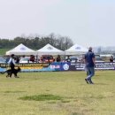 BG독케어센터 이미지