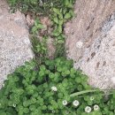 [안동 유명한 점집] 도연 산당 사주랑 결혼 고민 상담 후~