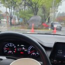 가고파초등학교 이미지