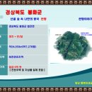 두메축산 이미지