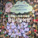 서울구경 | 잠실 아쿠아리움 평일 아이와 서울구경 강추 후기