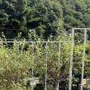 머스트화이트2동 이미지