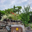 달마루펜션 이미지