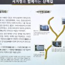 아차산등산(1) 이미지