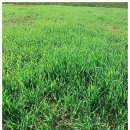 삼호농장 이미지