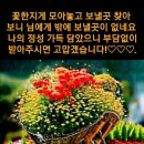 길따라행복 이미지