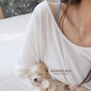 신도시켄넬 이미지