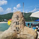 레일바이크민박 | 삼척여행 장호항 옆 용화해수욕장 여행기｜스노클링·물놀이·스킨스쿠버 후기