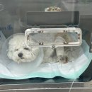 유앤아이동물병원 이미지