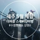 (주)더블비제주 | [제주 스쿠버다이빙] 서귀포 범섬 5월 스쿠버체험 후기