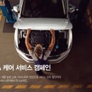 지엔비모터스 이미지