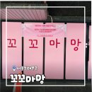 장안세탁 | [서울/장안] 카시트세탁 전문점 꼬꼬마망 주니어카시트 세탁 후기 (싸이벡스 솔루션T)