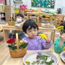 남평초교 병설유치원 이미지