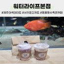 다양한 즐길거리가 있는 제주 이색 데이트, 워터라이프본점 수족관&amp;카페