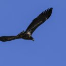 하늘마당-비상 이미지