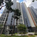 세븐일레븐 오산대림점 이미지