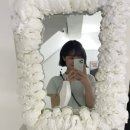 아르브헤어 arvv 이미지