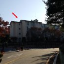 분당로359번길 이미지