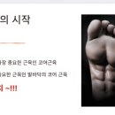도도화