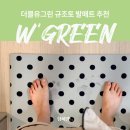 더블유그린 규조토 발매트 wgreen 화장실 매트 후기