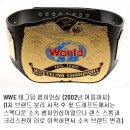 2002년부터 현재까지 WWE 양대 브랜드 태그팀 챔피언심 명칭 디자인 이미지