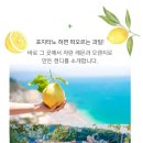 레몬과오렌지