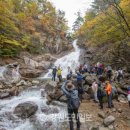 번영민박 이미지