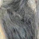 이쁘게미용실 | 친절하고 이쁘게 머리잘하는 원주 미용실, 궁서채 원주점 이용후기