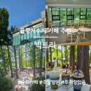 물왕저수지 카페 빅트리, 호수뷰 대신 숲뷰 힐링카페 다녀온 후기(주말방문)