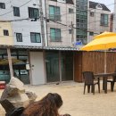 마라와나무 이미지