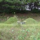 농민주유소 이미지