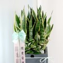 (주)기원농장 이미지