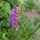 제2금강산 등산로입구 이미지