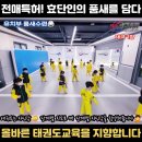 효단태권도장 이미지