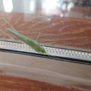 고원관광휴게소 이미지