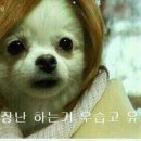 공방다